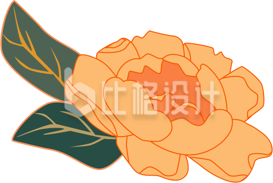 牡丹花插画手绘