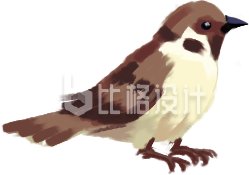 小鸟手绘插画