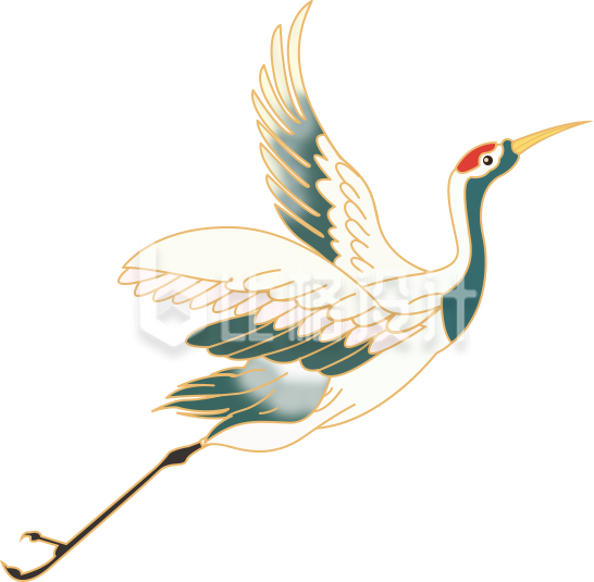 仙鹤插画手绘