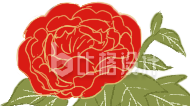 牡丹花手绘