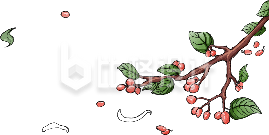 水果树枝插画手绘