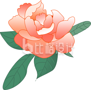 牡丹花手绘