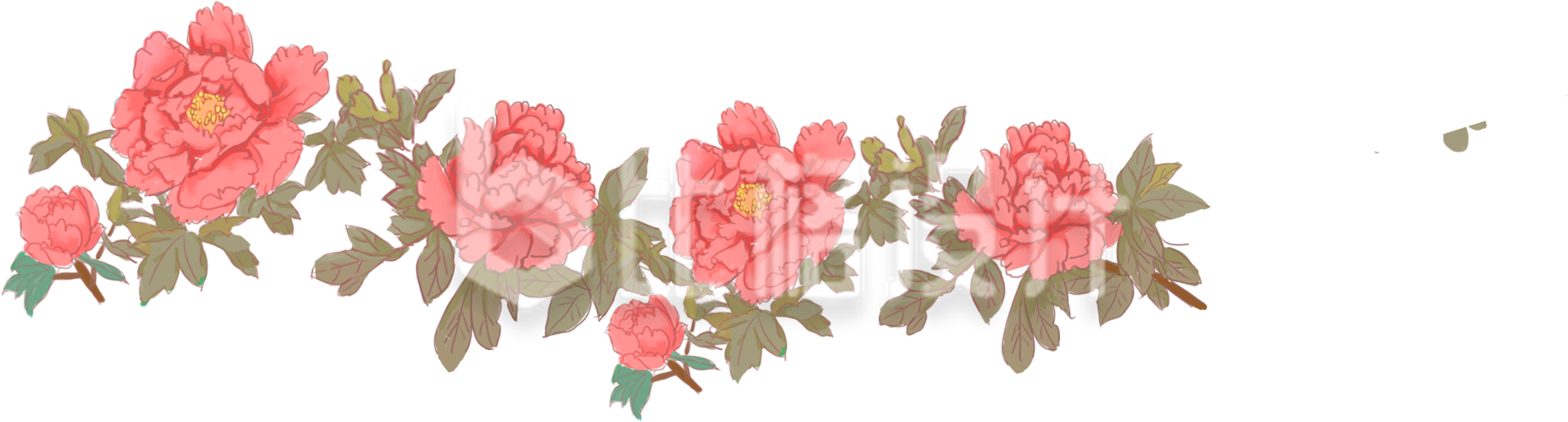 牡丹花手绘