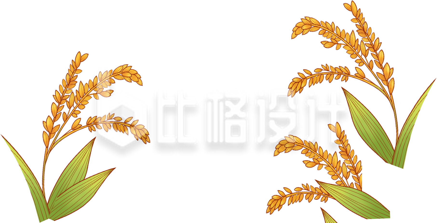 麦子手绘