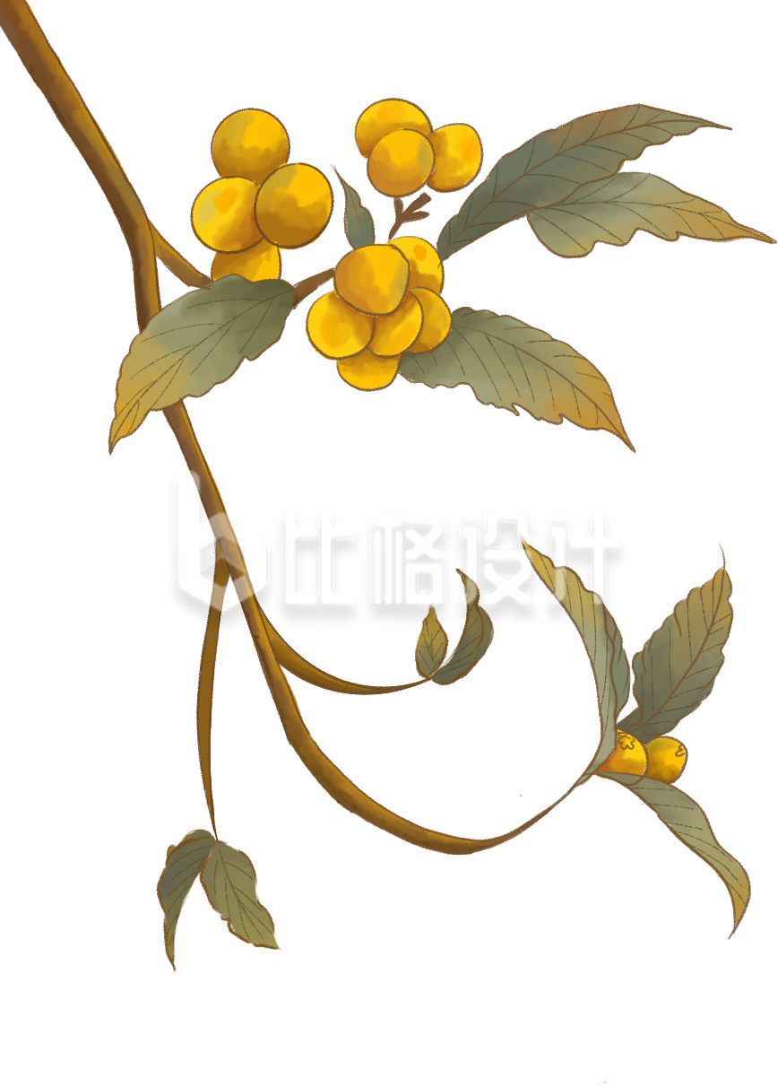 批把手绘植物
