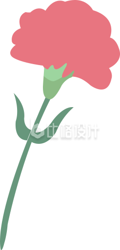 康乃馨手绘小花