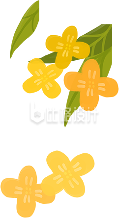 小花手绘插画