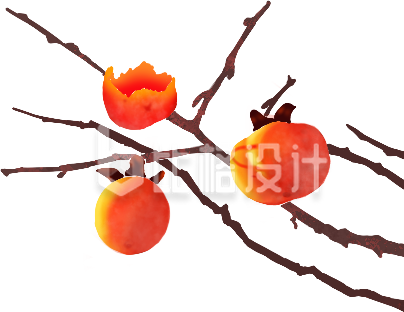 水果枝丫手绘插画