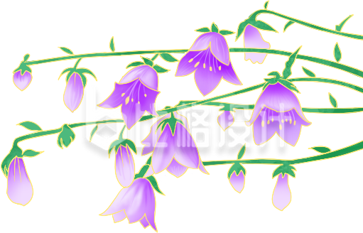 紫色的小花手绘