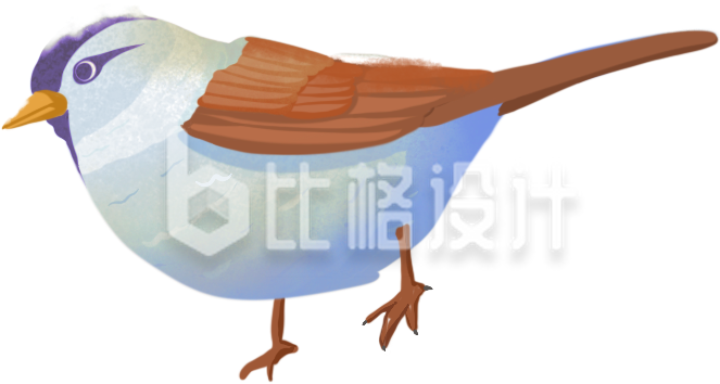 一只小麻雀手绘插画