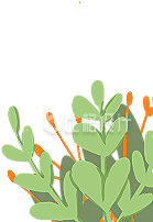 植物手绘