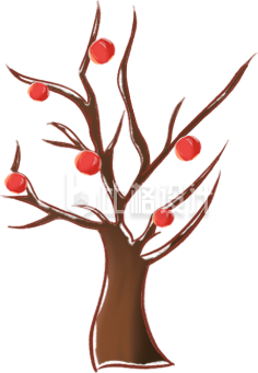 树枝手绘插画