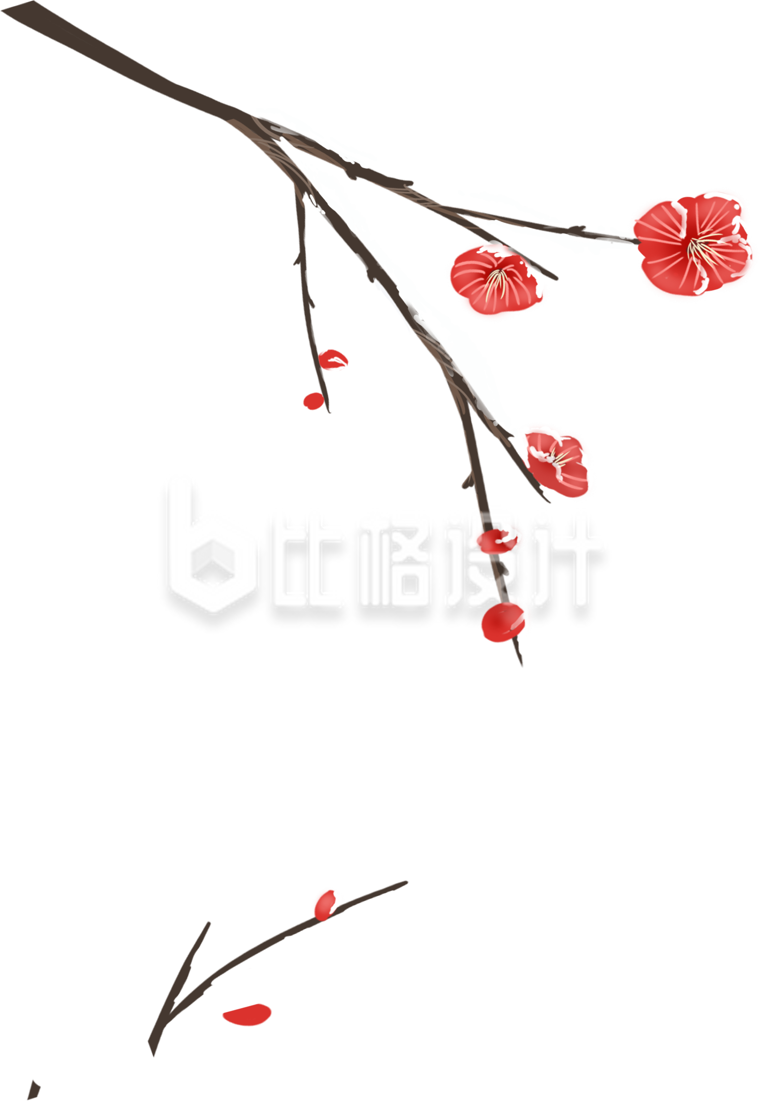 梅花手绘插画