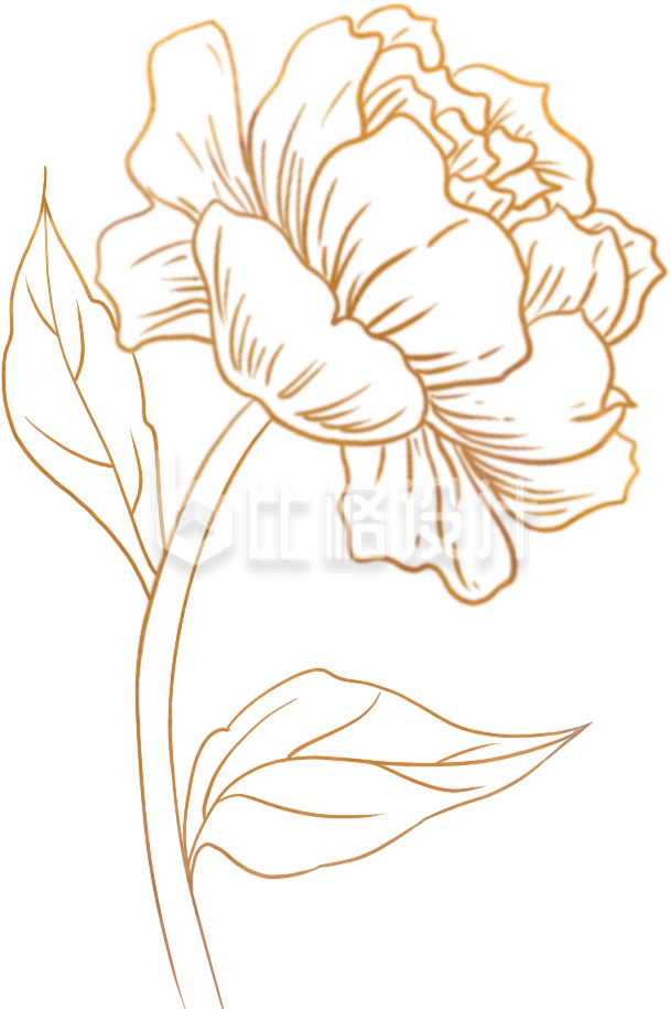 金色线条勾勒的鲜花图案宣传物料设计 金色线条勾勒的鲜花图案宣传物料设计