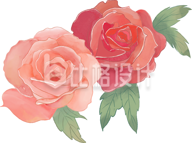 两朵娇艳玫瑰水彩画 鲜花装饰好素材