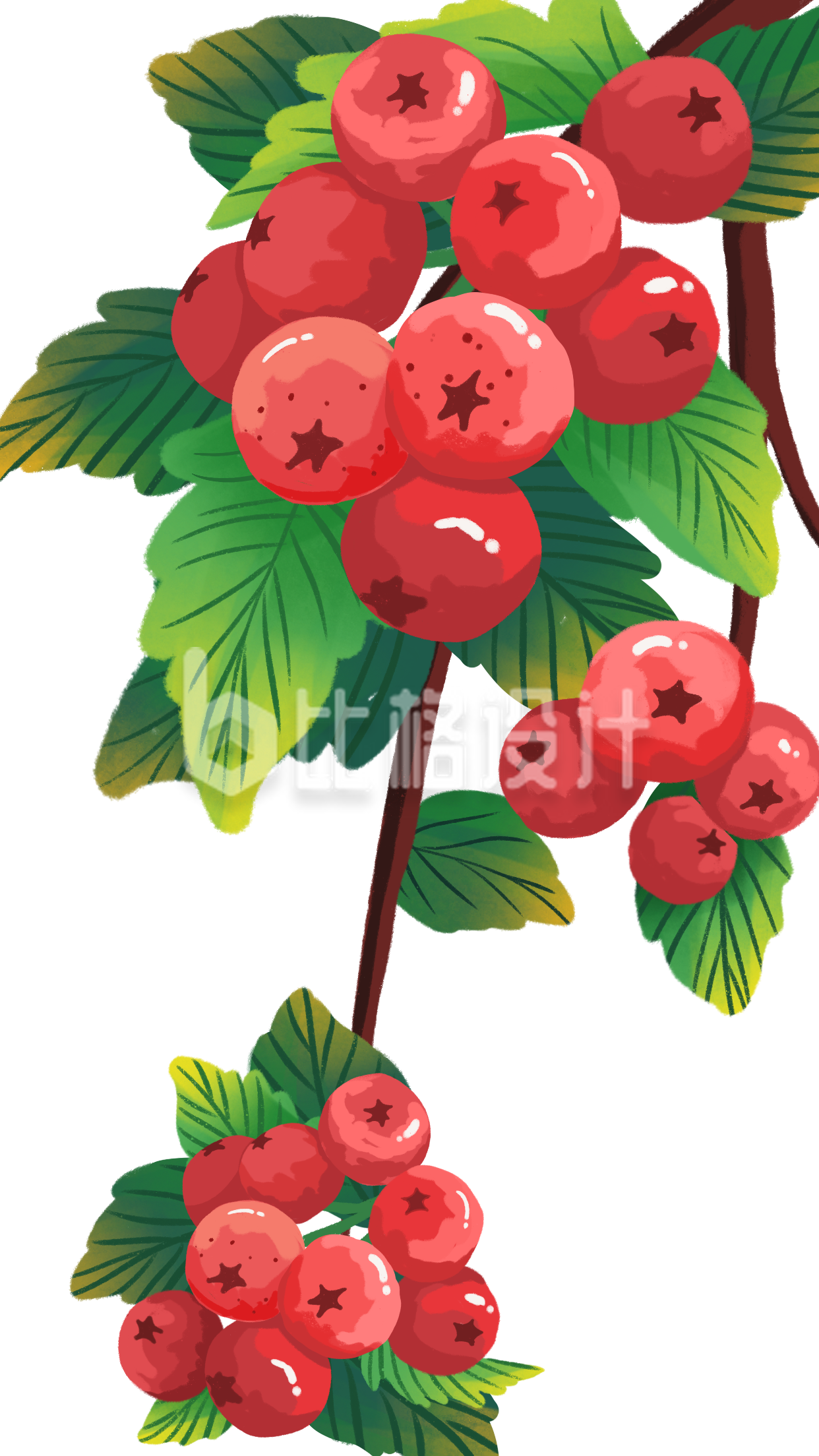 冬天水果