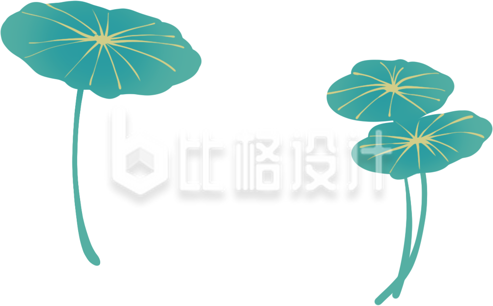 荷叶手绘插画