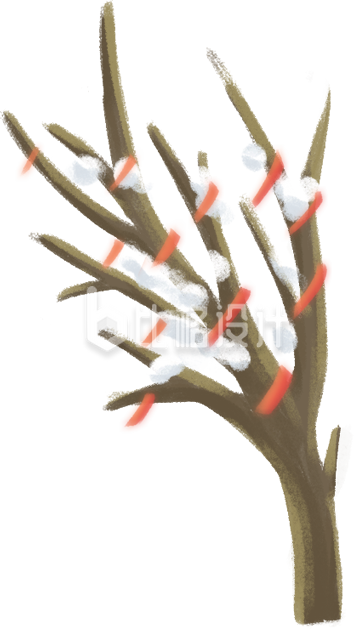 植物大树手绘