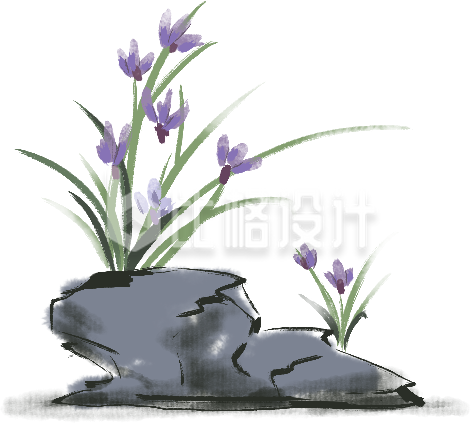 兰花手绘插画