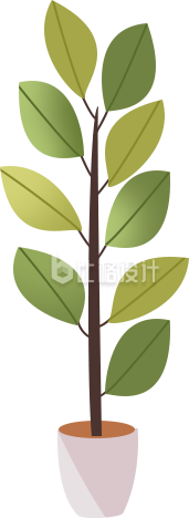 盆栽手绘插画