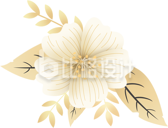 小花手绘插画卡通