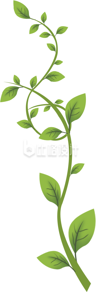 蔓藤手绘趣味