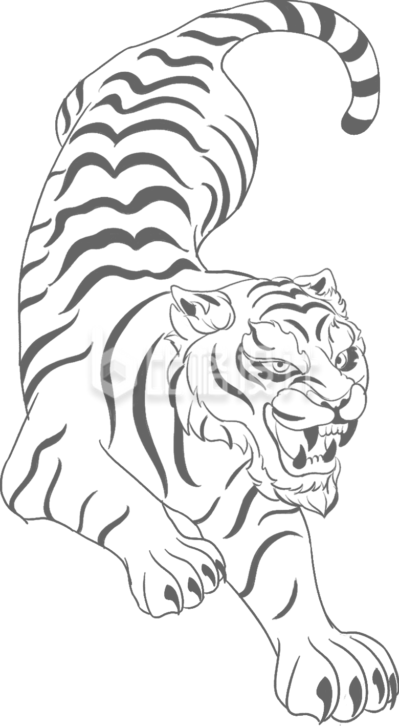 简笔画老虎手绘趣味可爱
