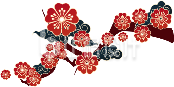手绘插画梅花