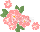 漂亮的小花手绘插画