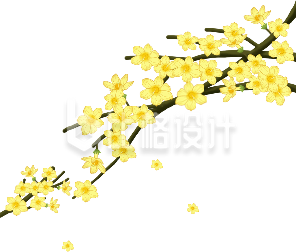 小黄花手绘趣味