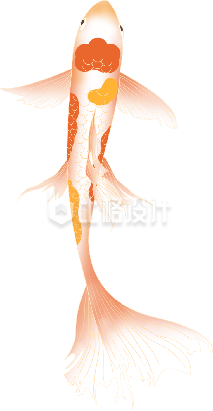 锦鲤手绘插画趣味