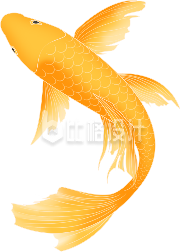 锦鲤手绘插画趣味