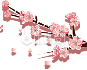 梅花手绘插画