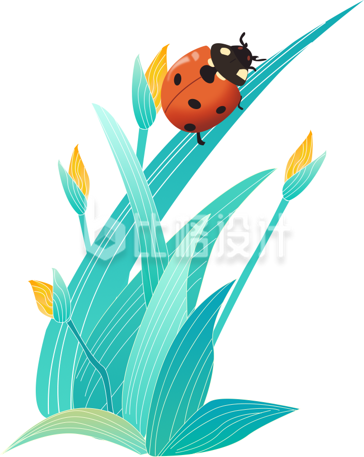 七星瓢虫小草手绘插画