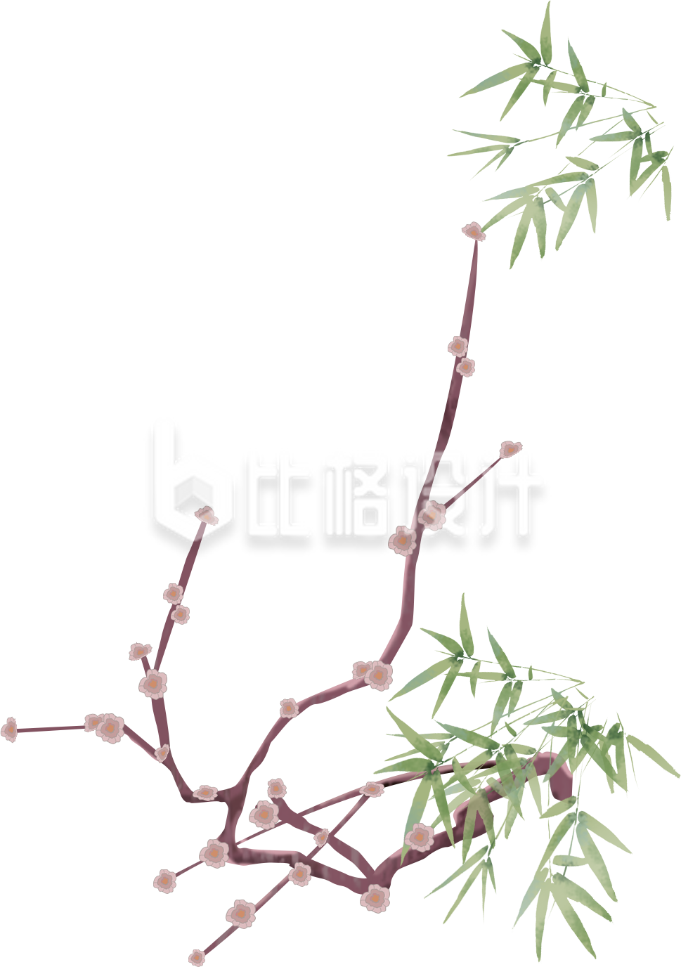 树枝小鸟手绘插画