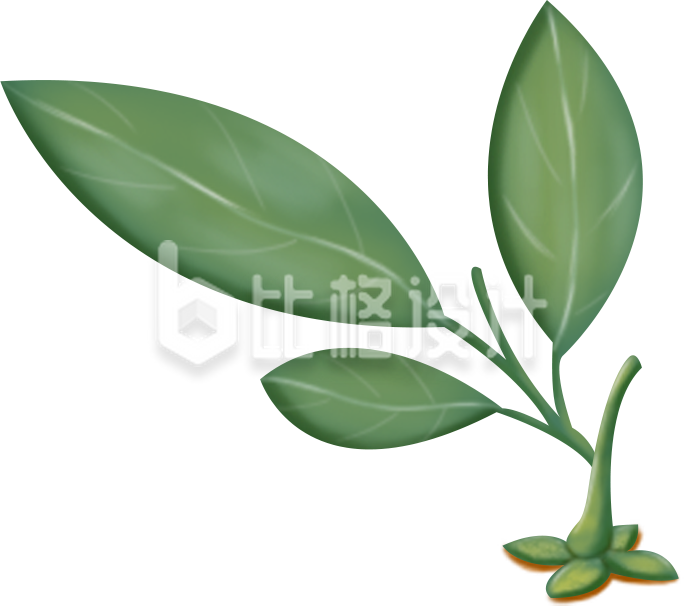 小树手绘植物插画