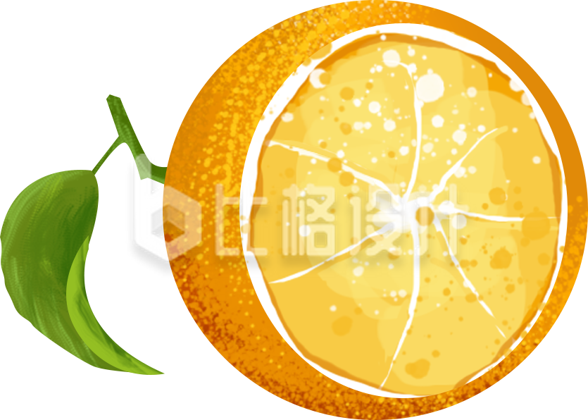 橘子手绘插画水果