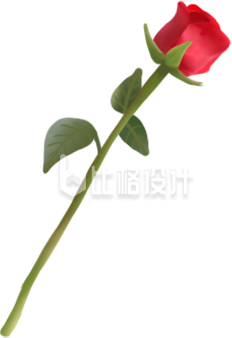 玫瑰花手绘插画