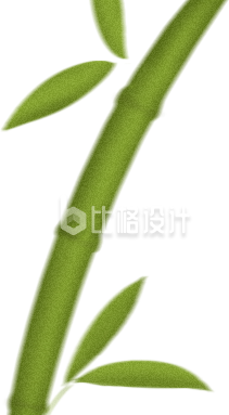 植物竹子手绘插画
