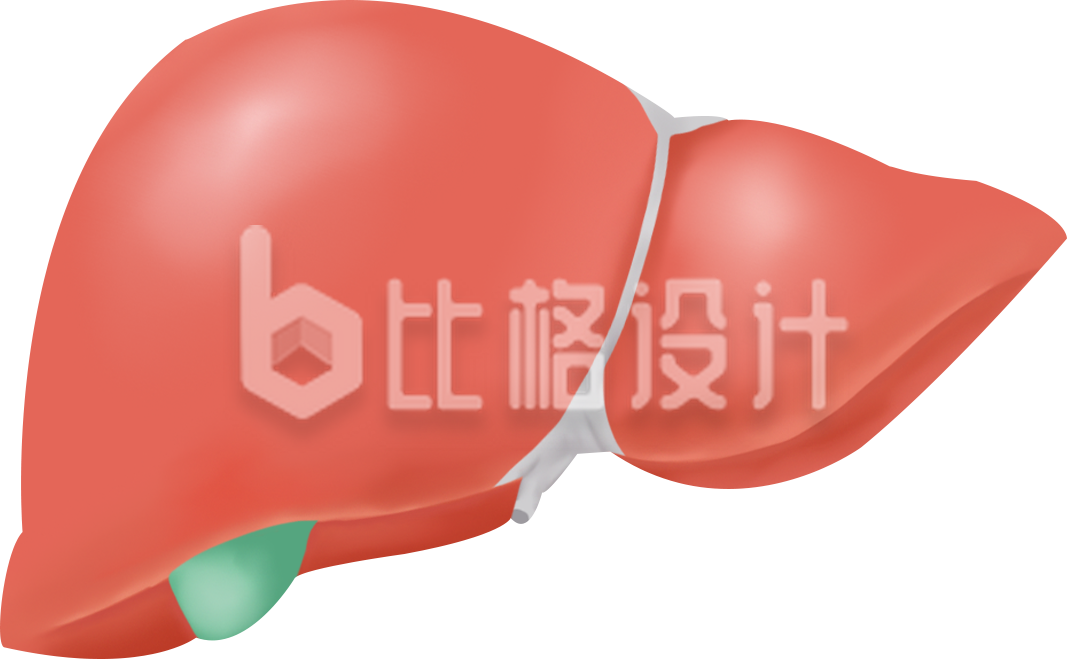 肝脏手绘趣味插画