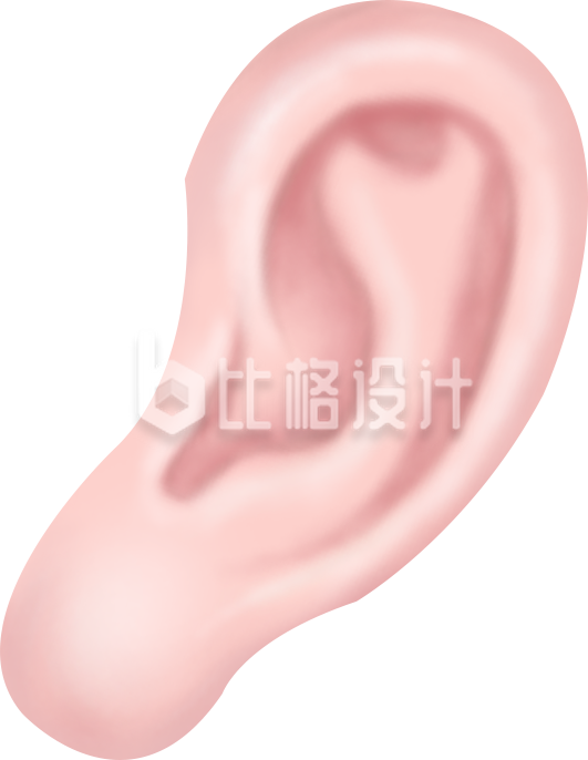 耳朵手绘插画