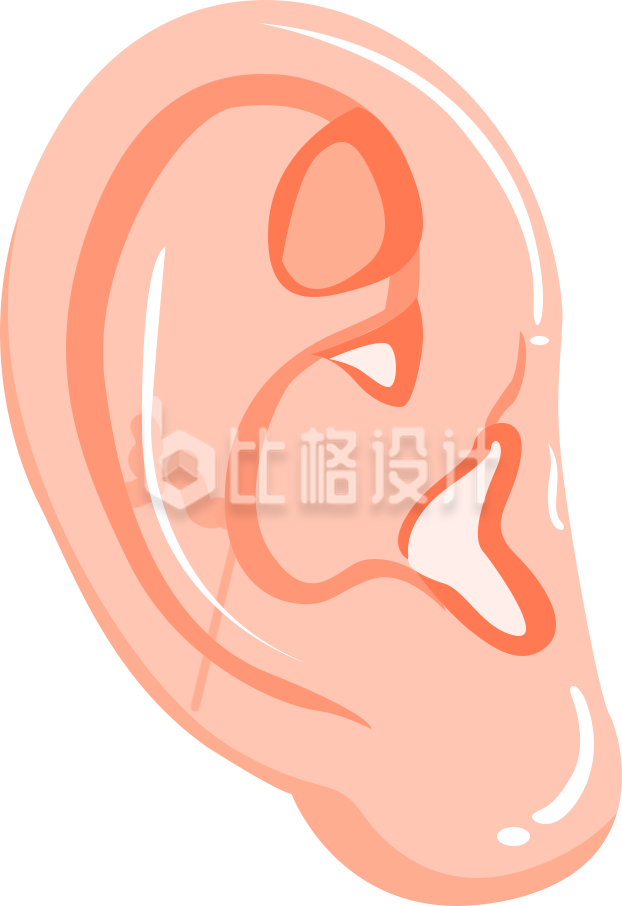 耳朵插画趣味手绘