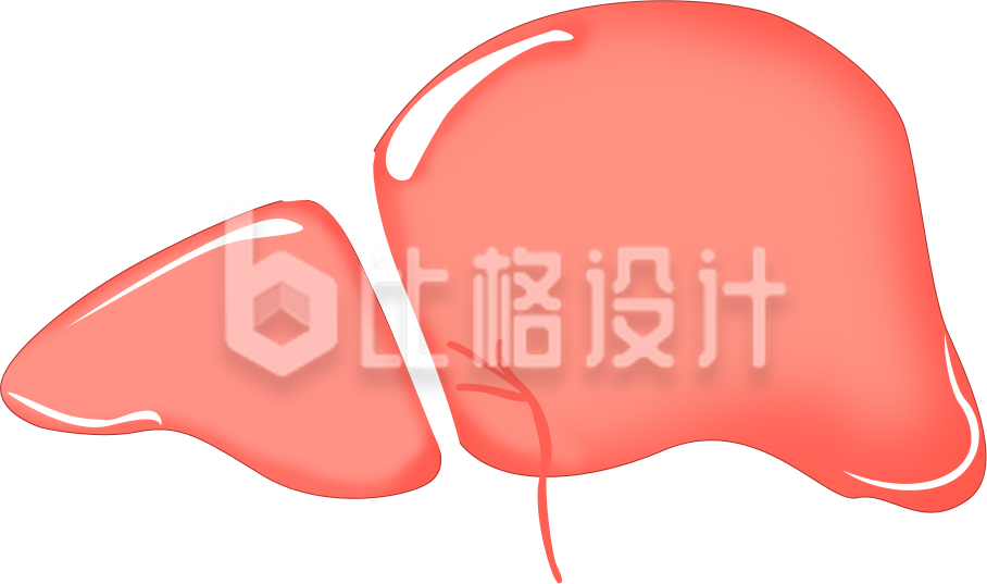 肝脏手绘趣味插画