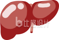 肝脏手绘插画趣味