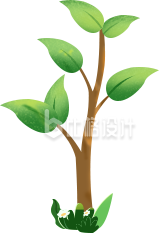 树木树苗手绘植物插画