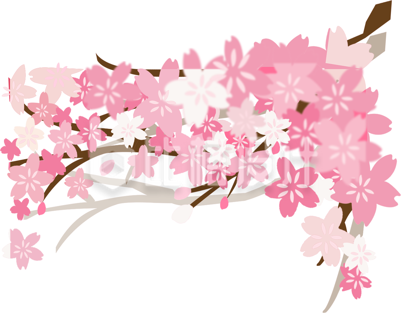 樱花手绘植物花