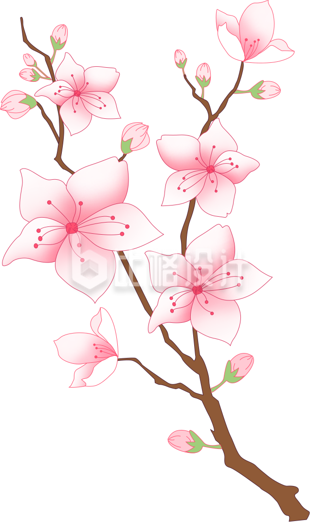 桃花手绘插画植物