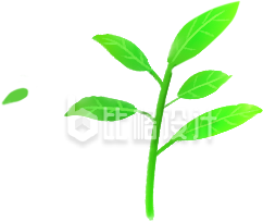 树苗小树手绘植物插画