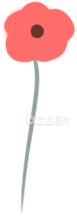 一朵小花手绘趣味