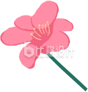 一朵花手绘趣味